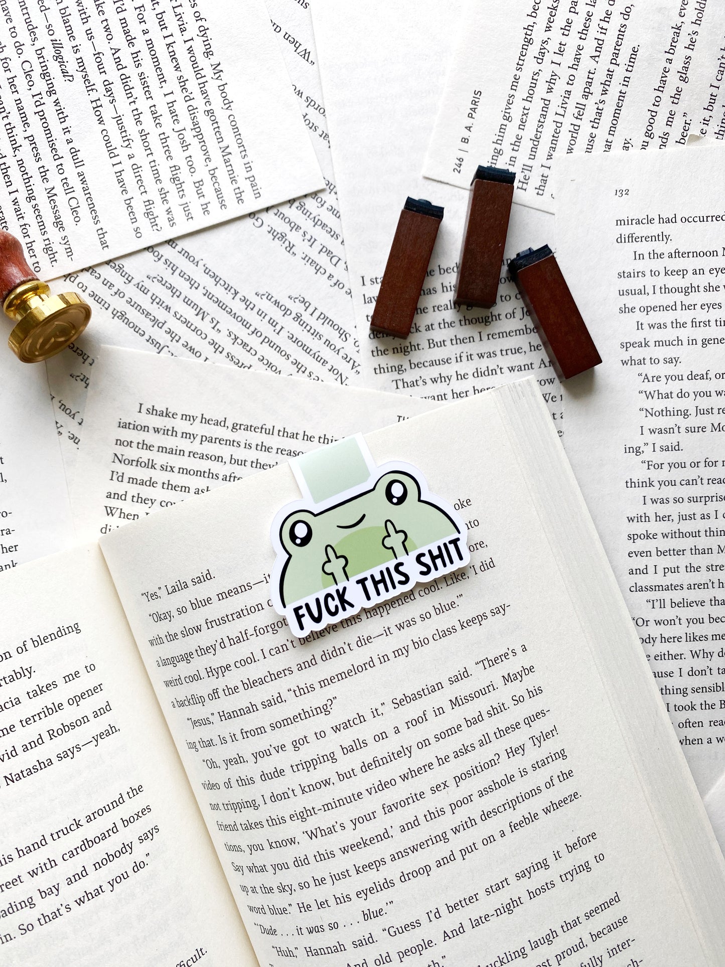 Funny frog magnetic bookmark