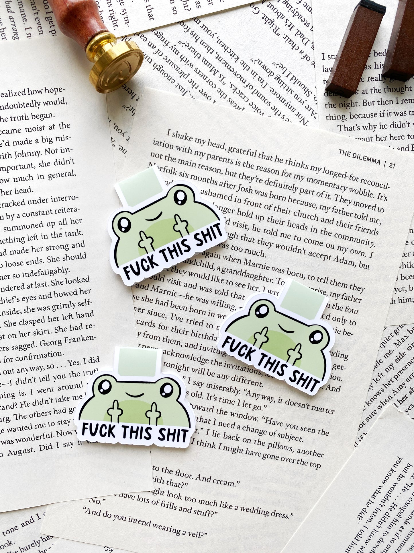 Funny frog magnetic bookmark