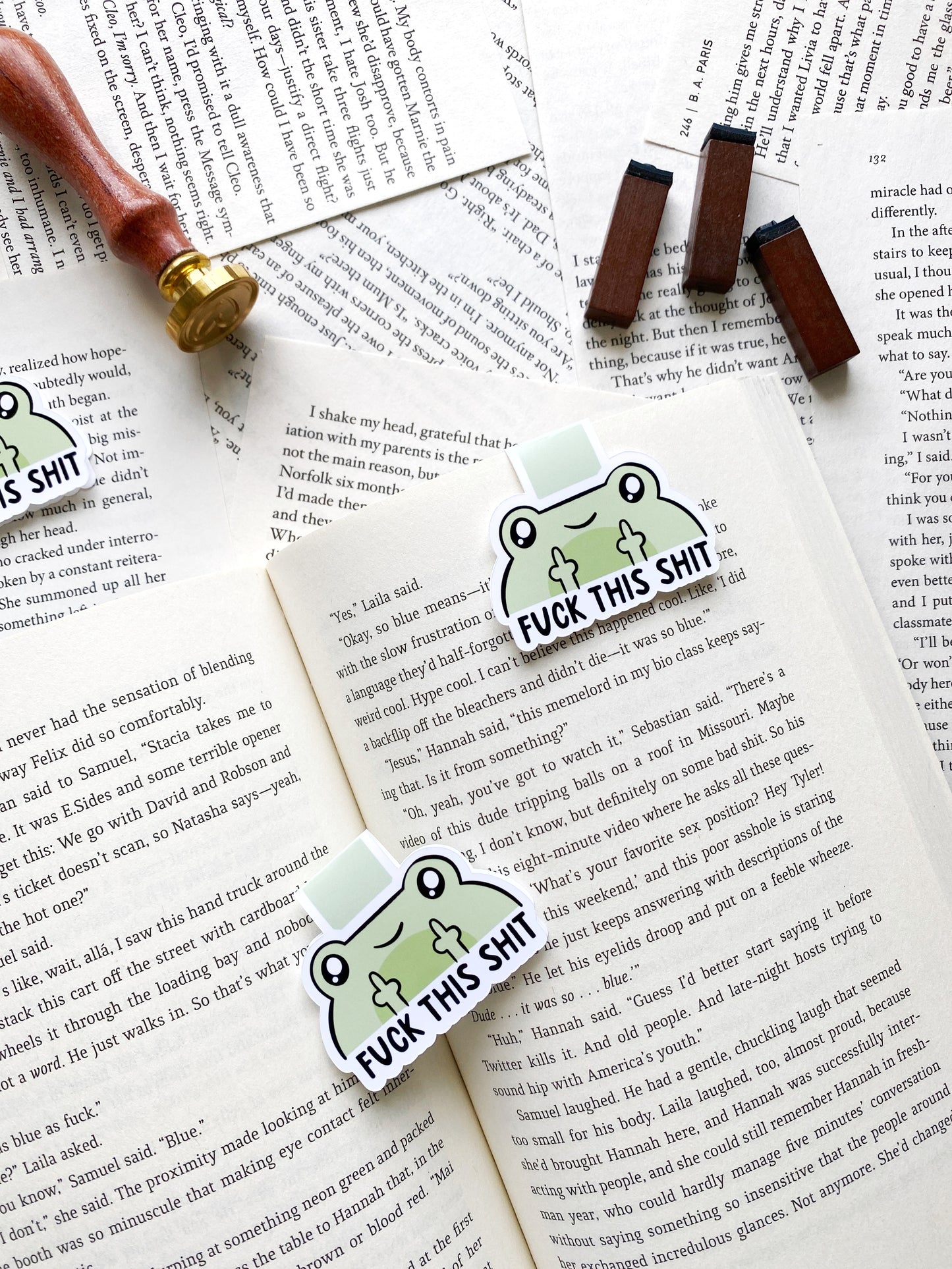 Funny frog magnetic bookmark