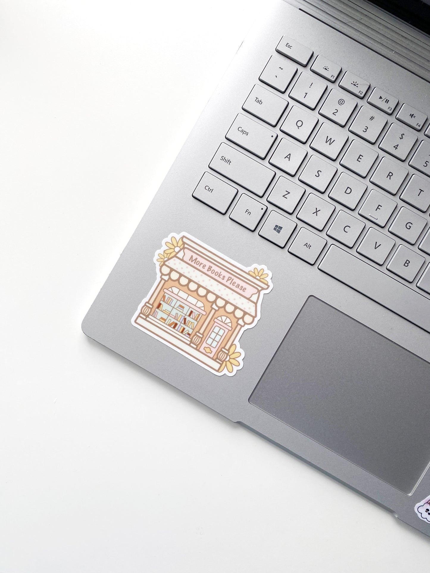 More Books Please Sticker